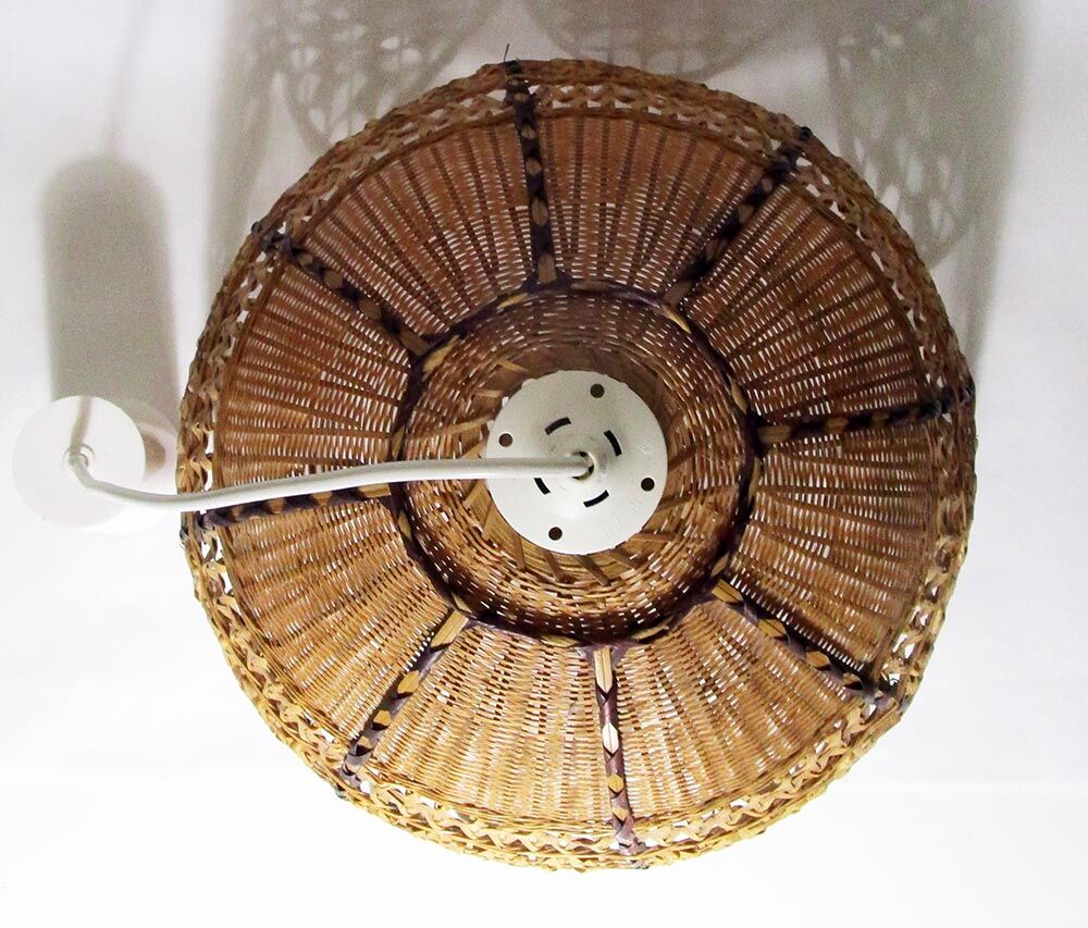 Tulip hanging in rattan