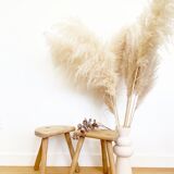 Tripod stool cowherd