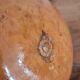 20th Century Brazilian Calabash Gourd