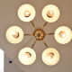 Mid-century Chandelier by  Kamenicky Senov,1960's.