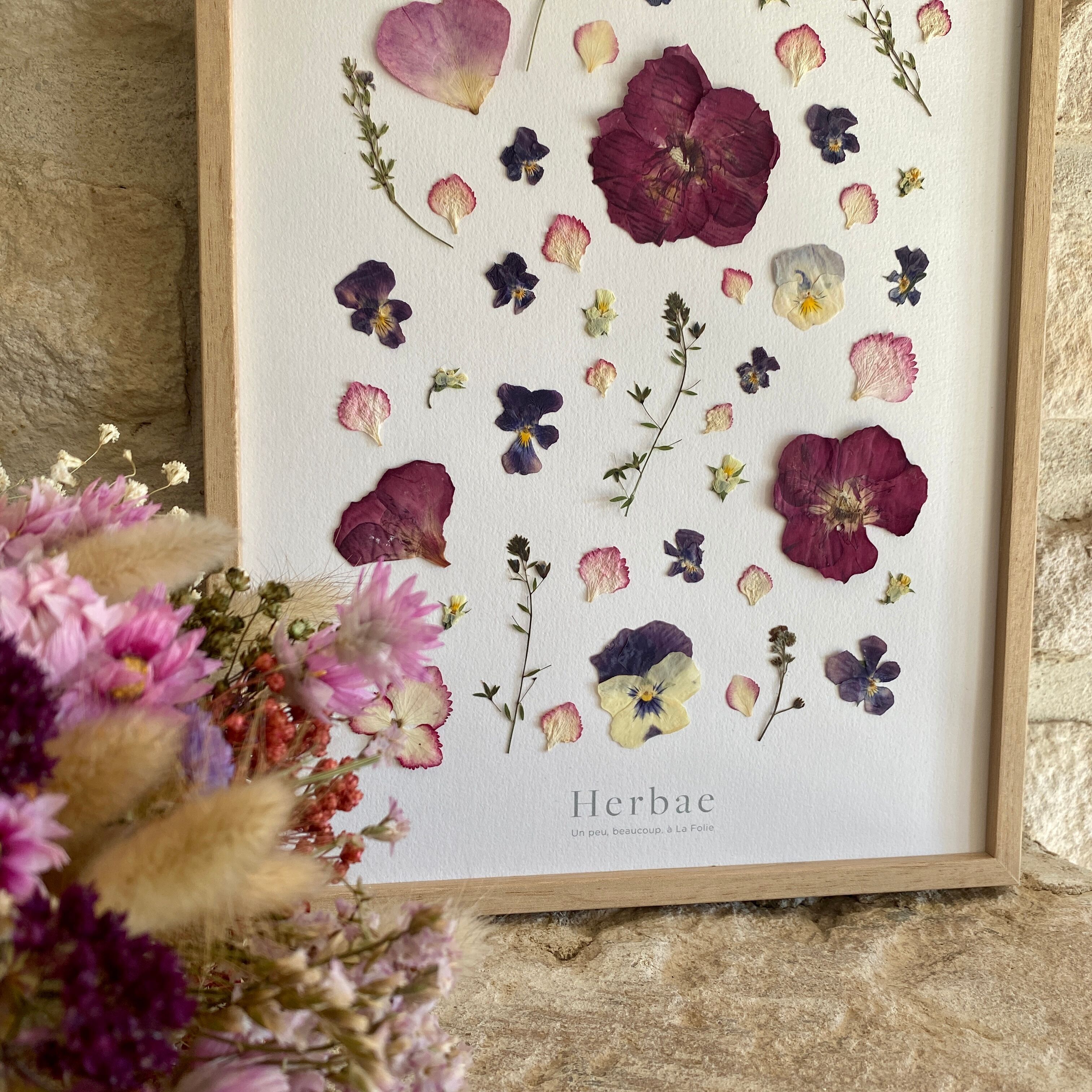 Framed herbarium - Bohemia