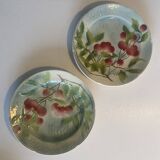 10 fruit decoration plates - St Clément - Barbotine - diam.21