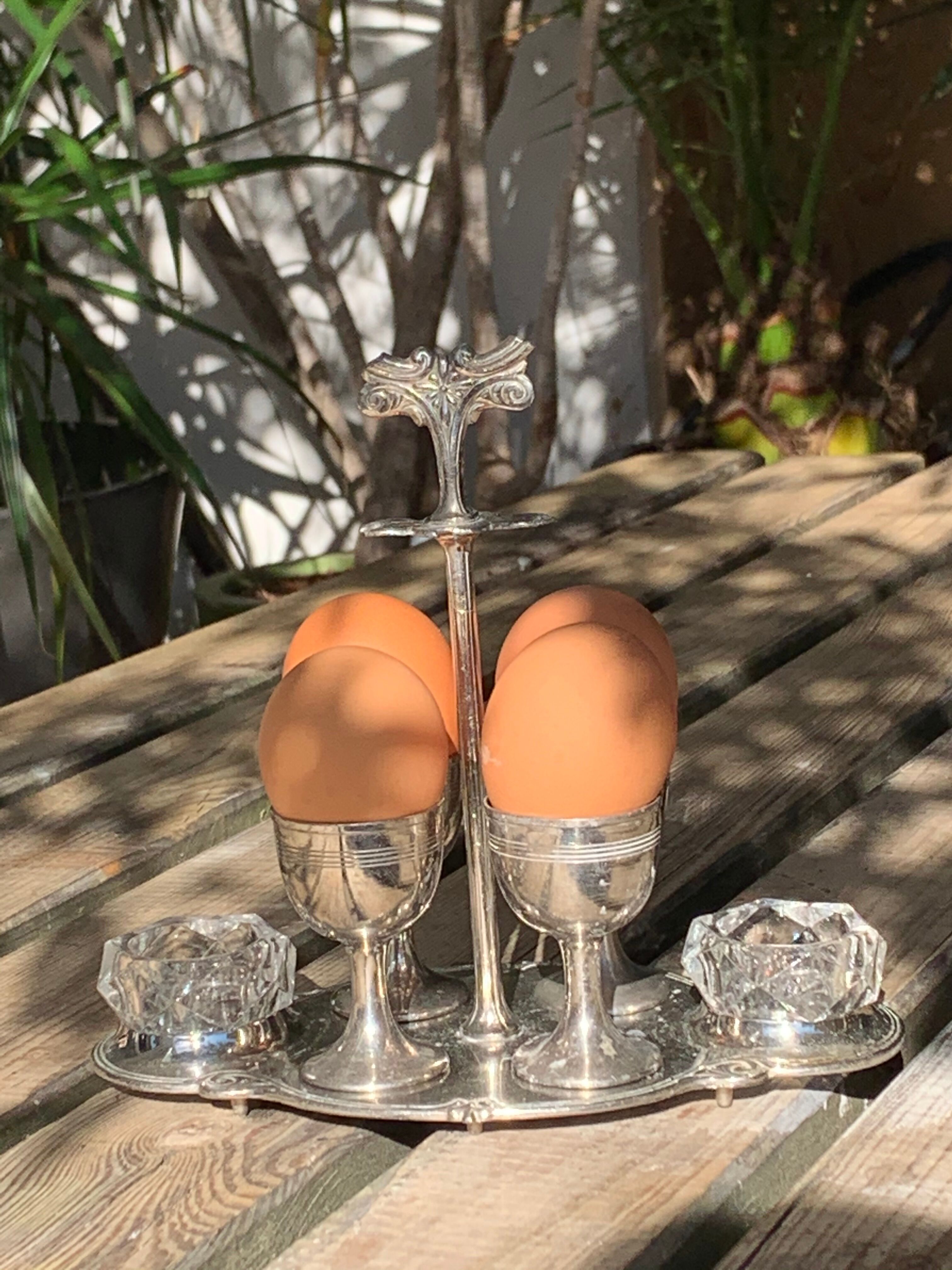 Old serving for boiled eggs with 4 metal cockroaches