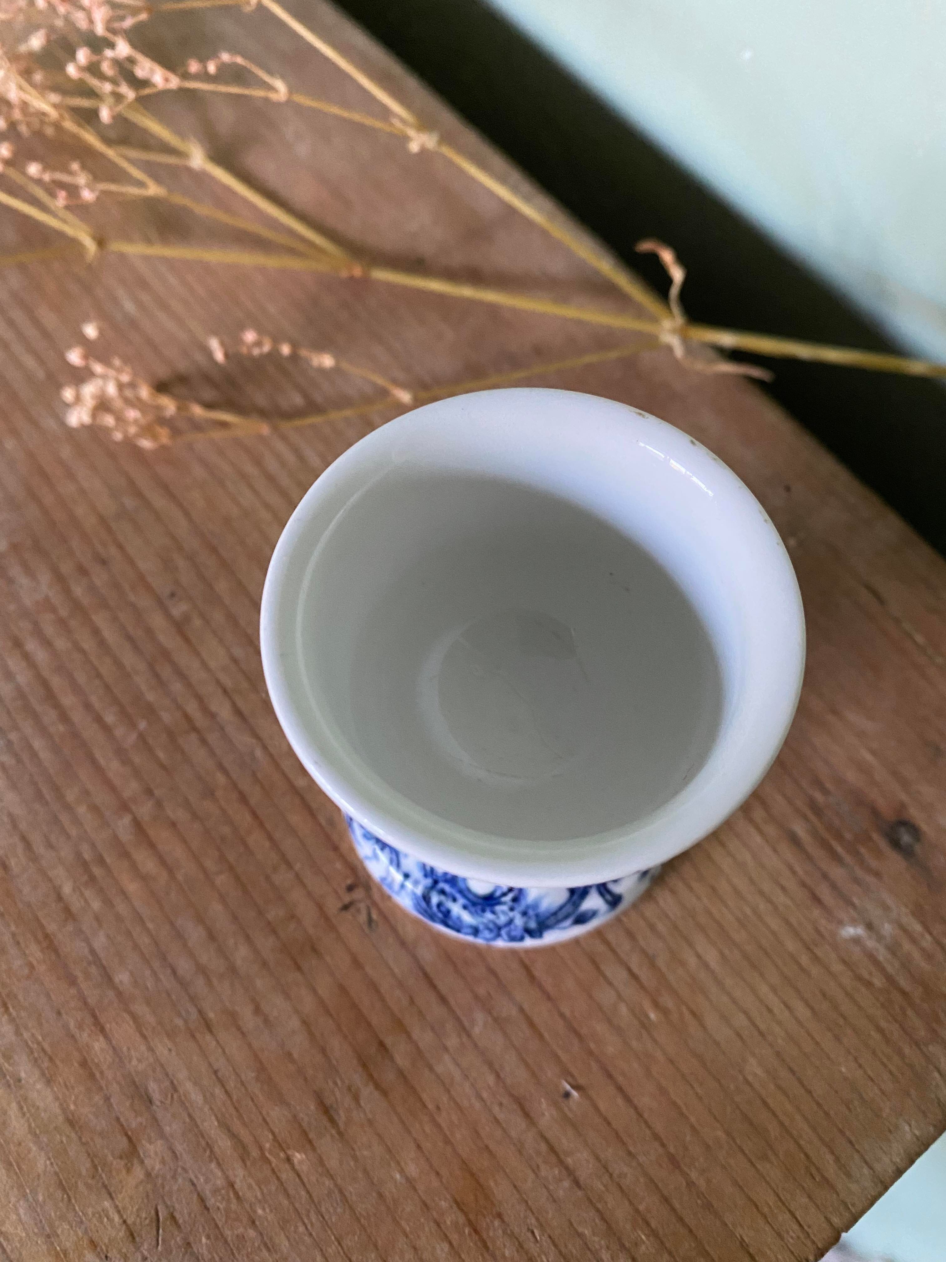 Ancient shell in Iron Land