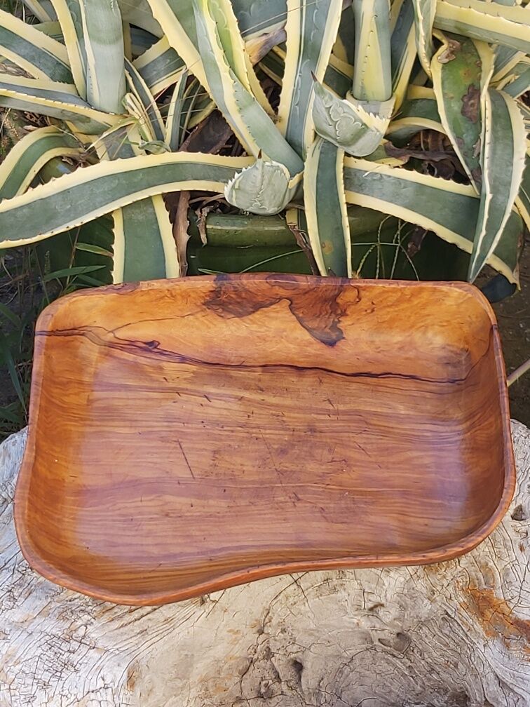 Empty cut pocket in vintage olive tree