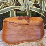 Empty cut pocket in vintage olive tree