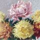 Peinture bouquet de fleurs encadrée
