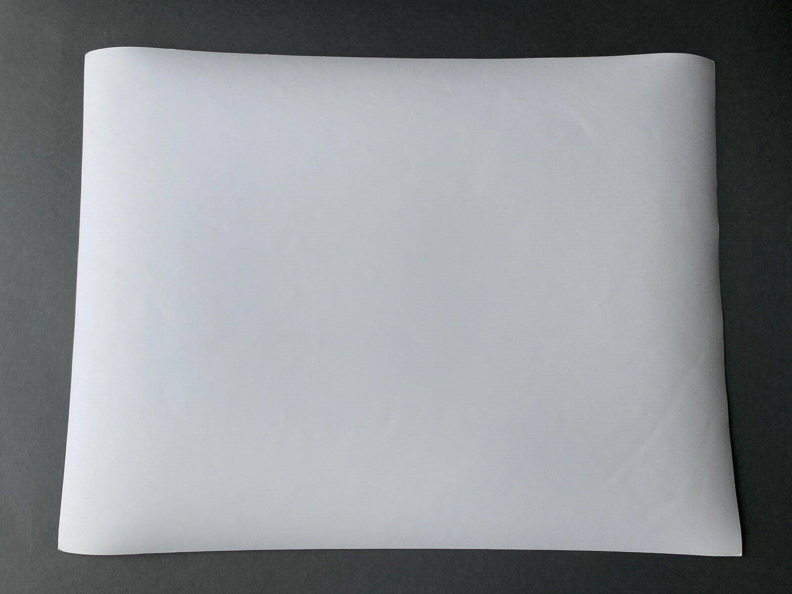 Bernard Darot silver gelatin photograph, 20th century, mountain flowers