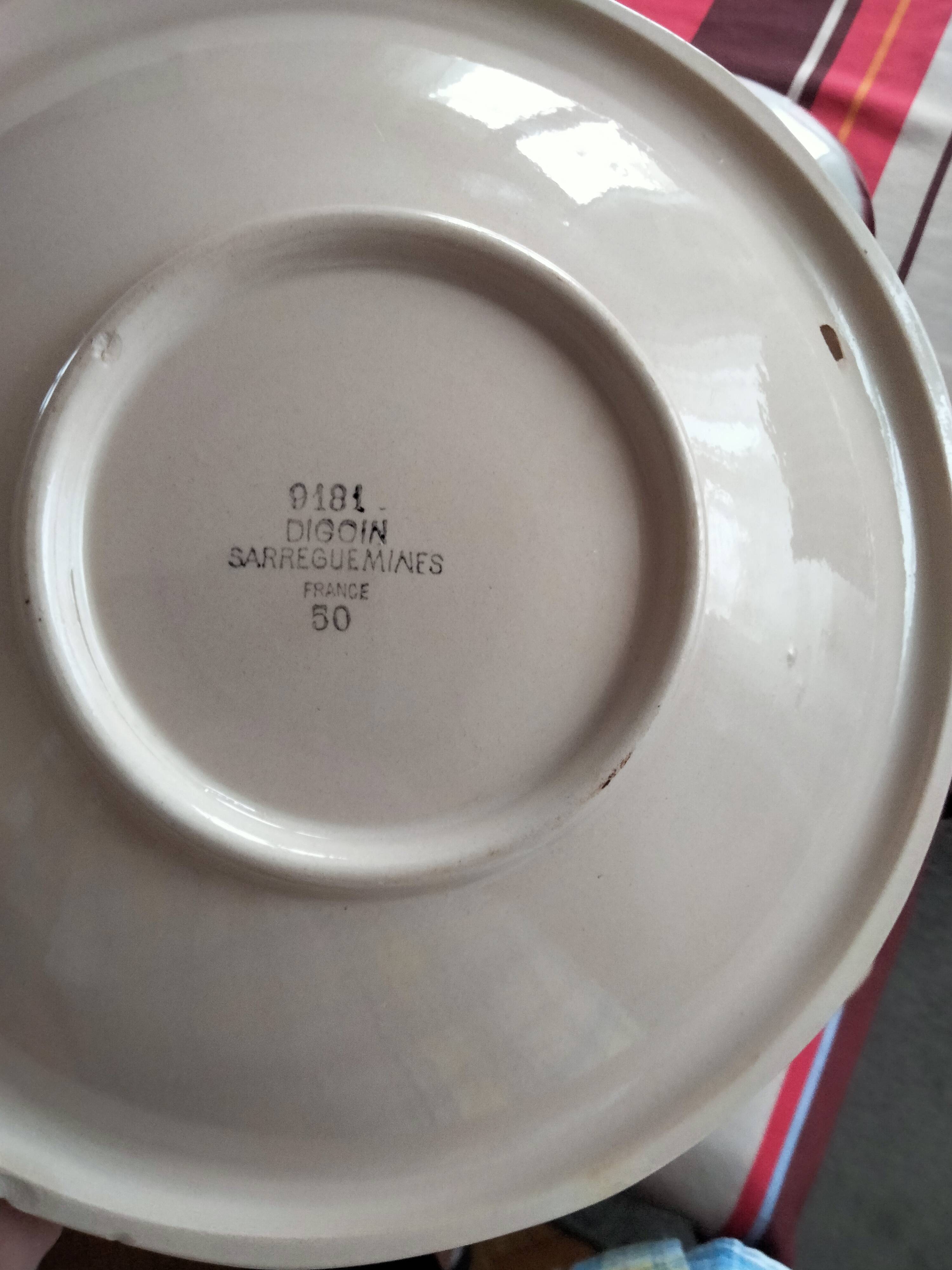 plat Digoin Sarreguemines