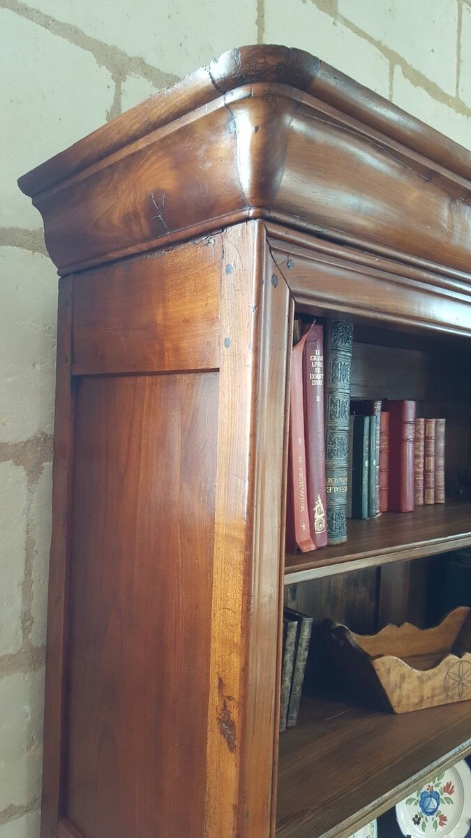 Old library style Louis Philippe of the nineteenth