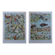 Original lithographs on birds