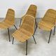 4 chairs Gianfranco Legler model Rattan basketball and metal 50s