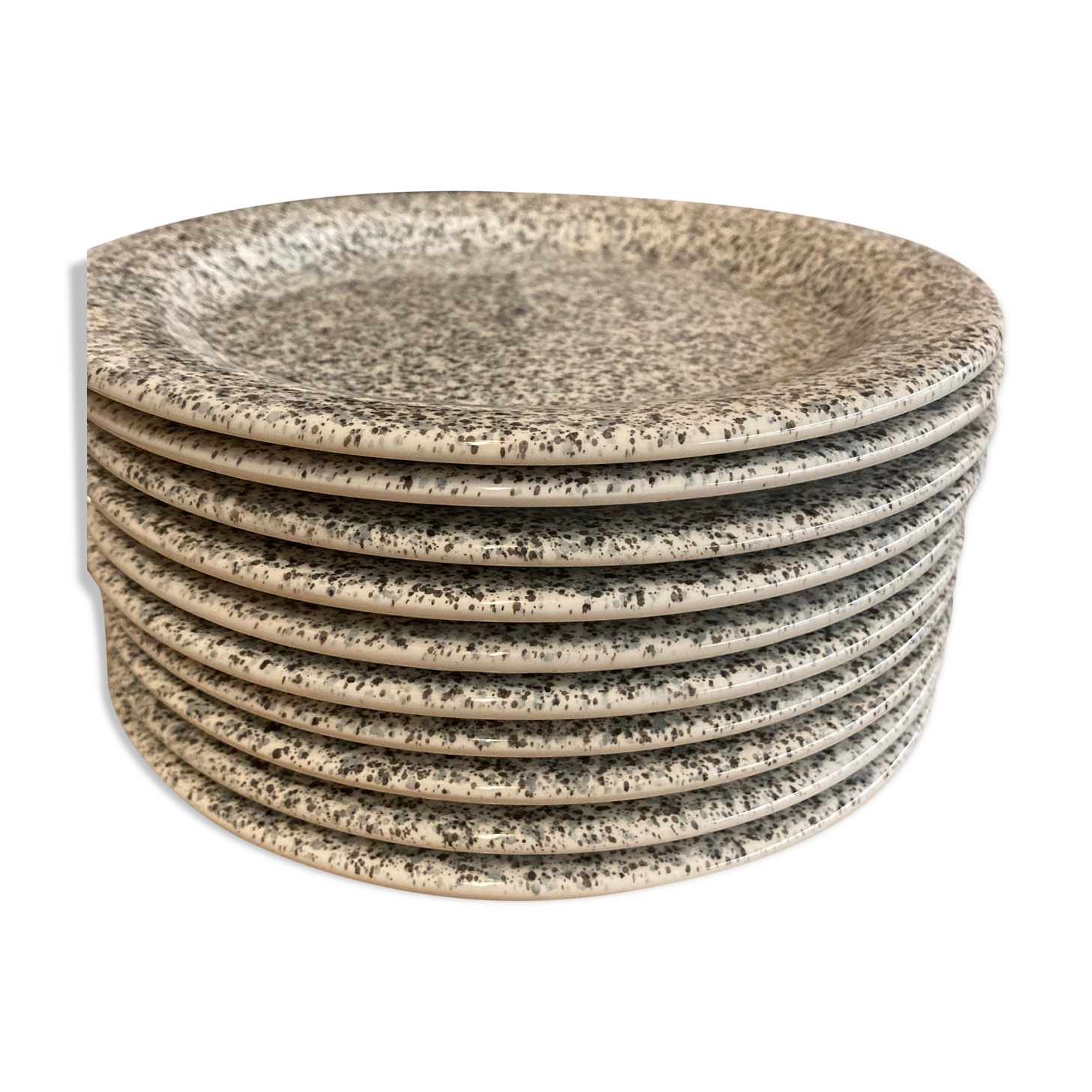 Lot 10 speckled plates Quadriflogio