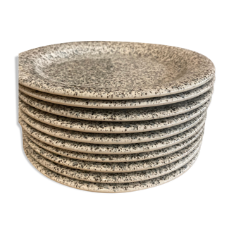 Lot 10 speckled plates Quadriflogio