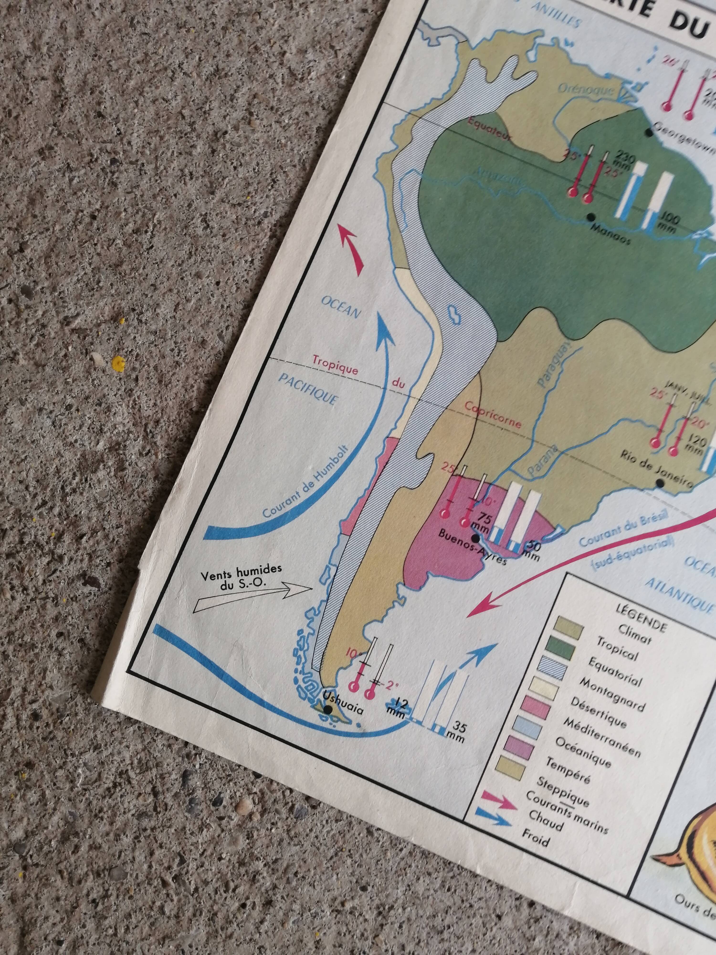 MDI school map: SOUTH AMERICA - OCEANIA fauna vegetation.