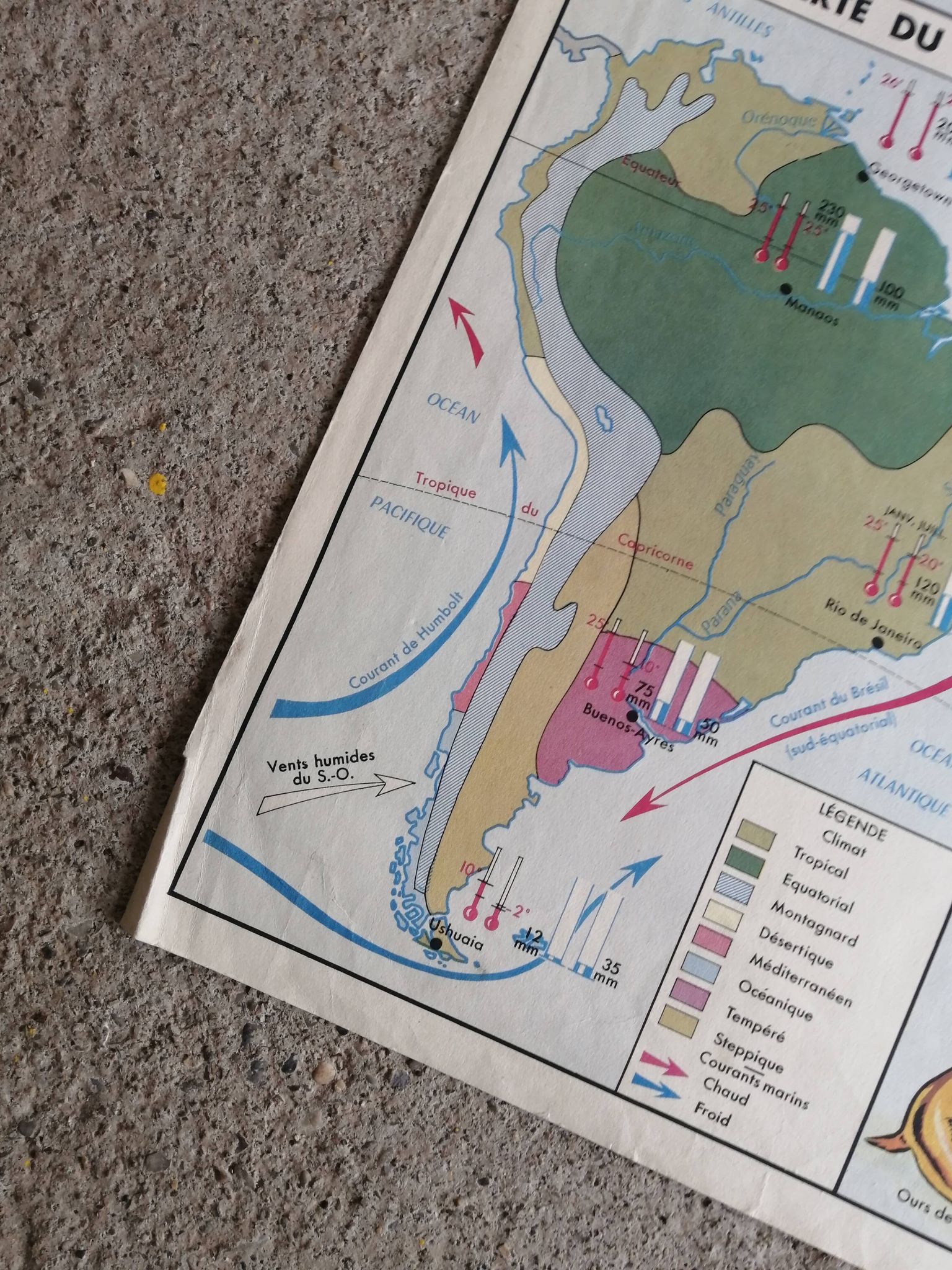 MDI school map: SOUTH AMERICA - OCEANIA fauna vegetation.
