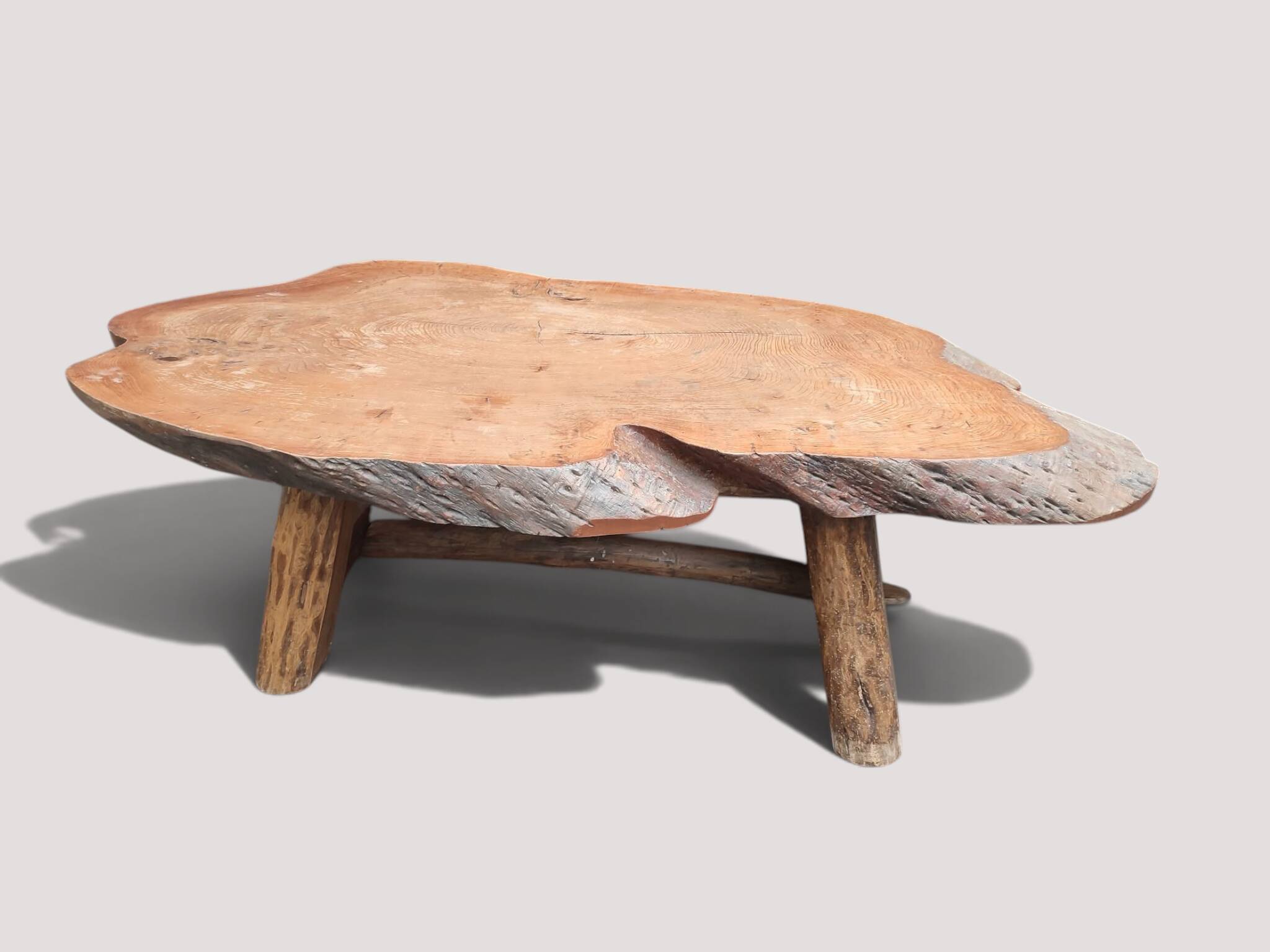Solid wood coffee table - Section/cross-section of a century-old tree.