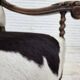 1950s, Danish highback armchair, genuine cowhide, oak wood.