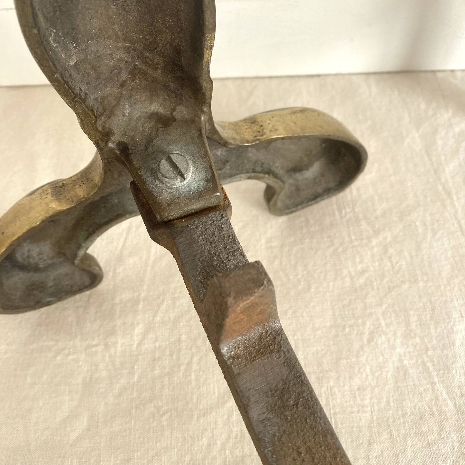 Pair of brass and cast iron fire dogs