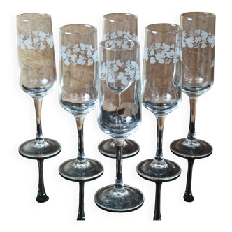 Set of 6 Luminarc Gourmet "Grabè" champagne flutes.