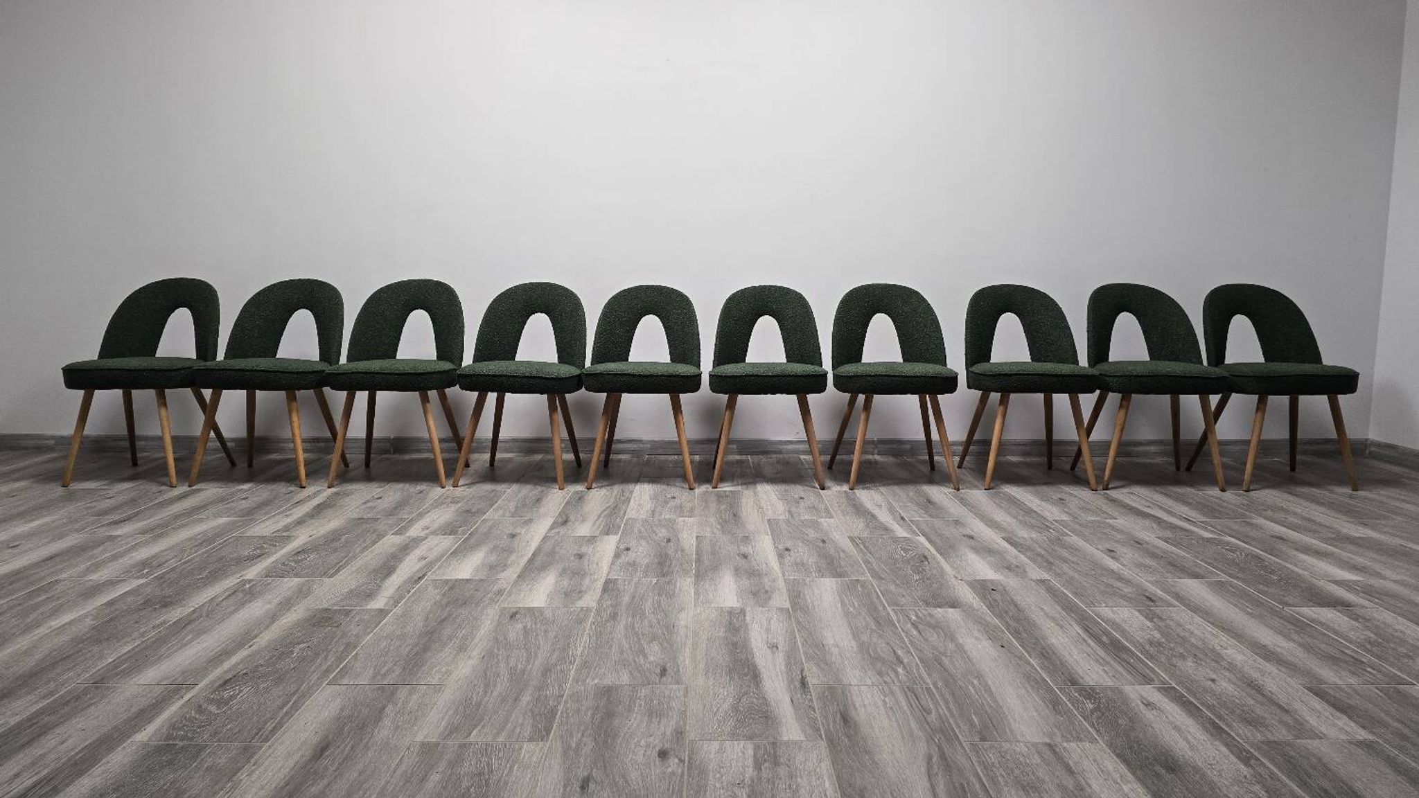 Dining Chairs by Antonin Suman, 1960s, Set of 10