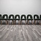 Dining Chairs by Antonin Suman, 1960s, Set of 10