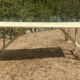 Guinguette table