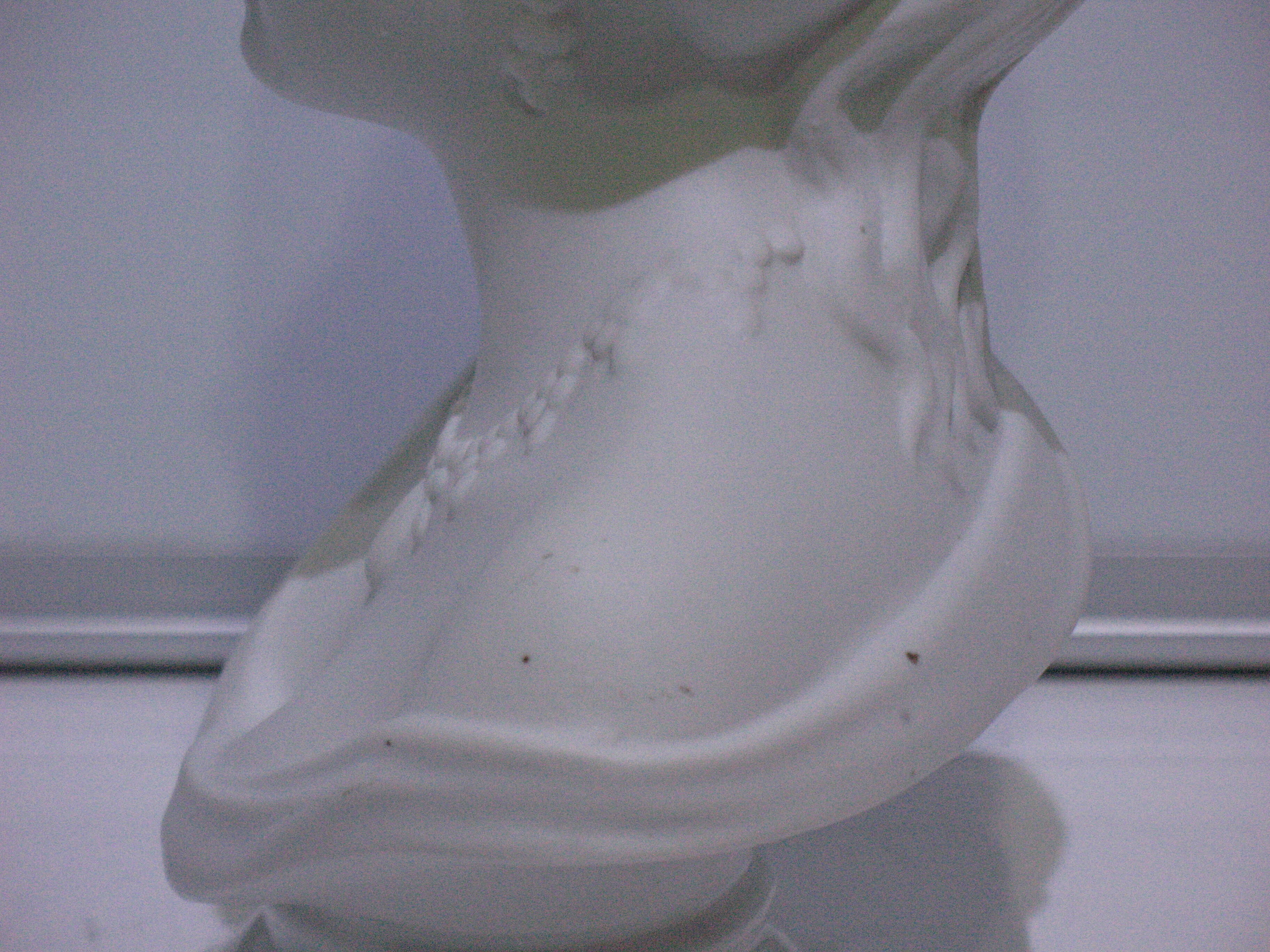 Bust