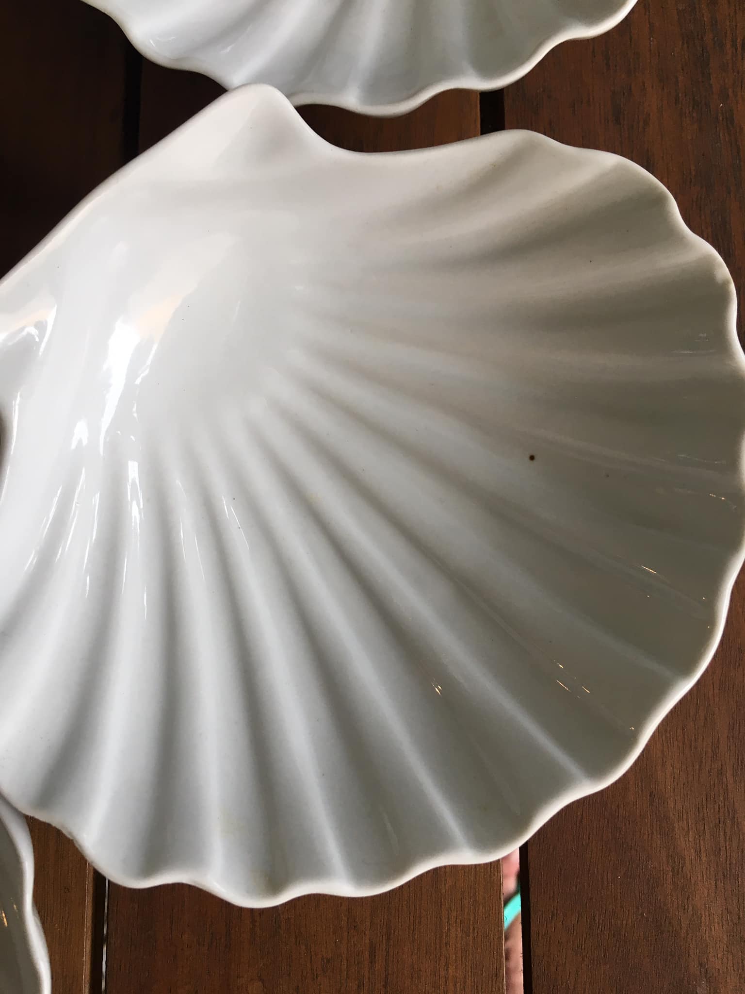 6 white porcelain scallops