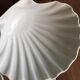 6 white porcelain scallops