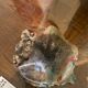 Raku cup 1980s