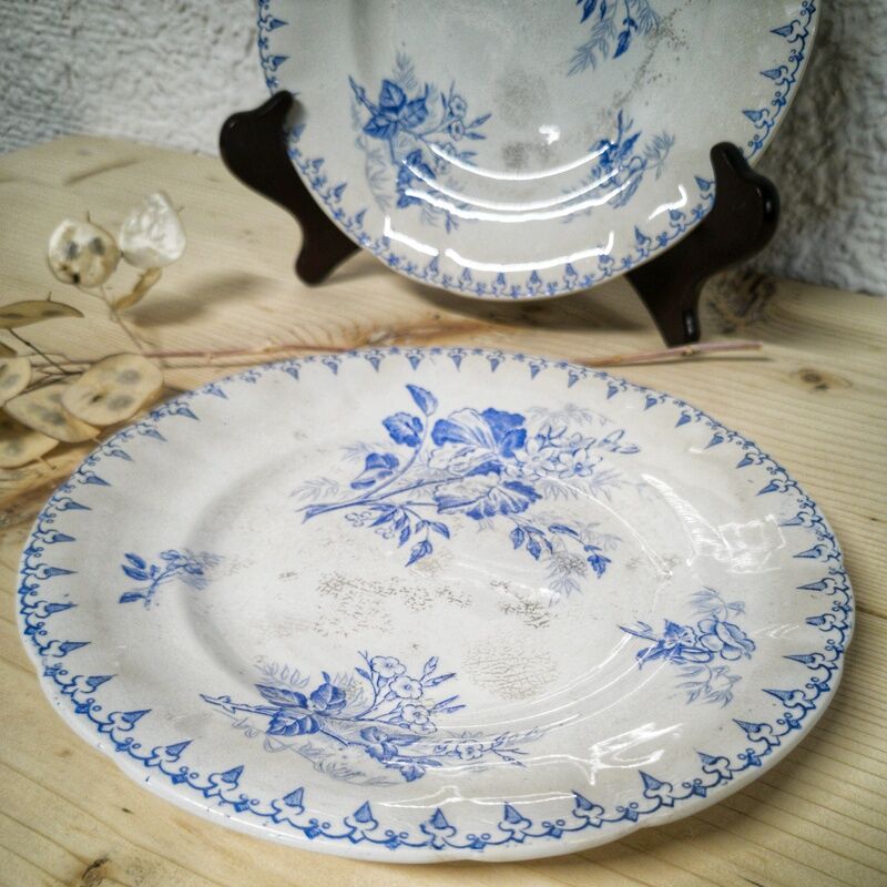 Duo of dessert plates U&C Sarreguemines - model Flore