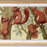 Poster "Squirrels", based on an Art Nouveau lithograph from 1897.