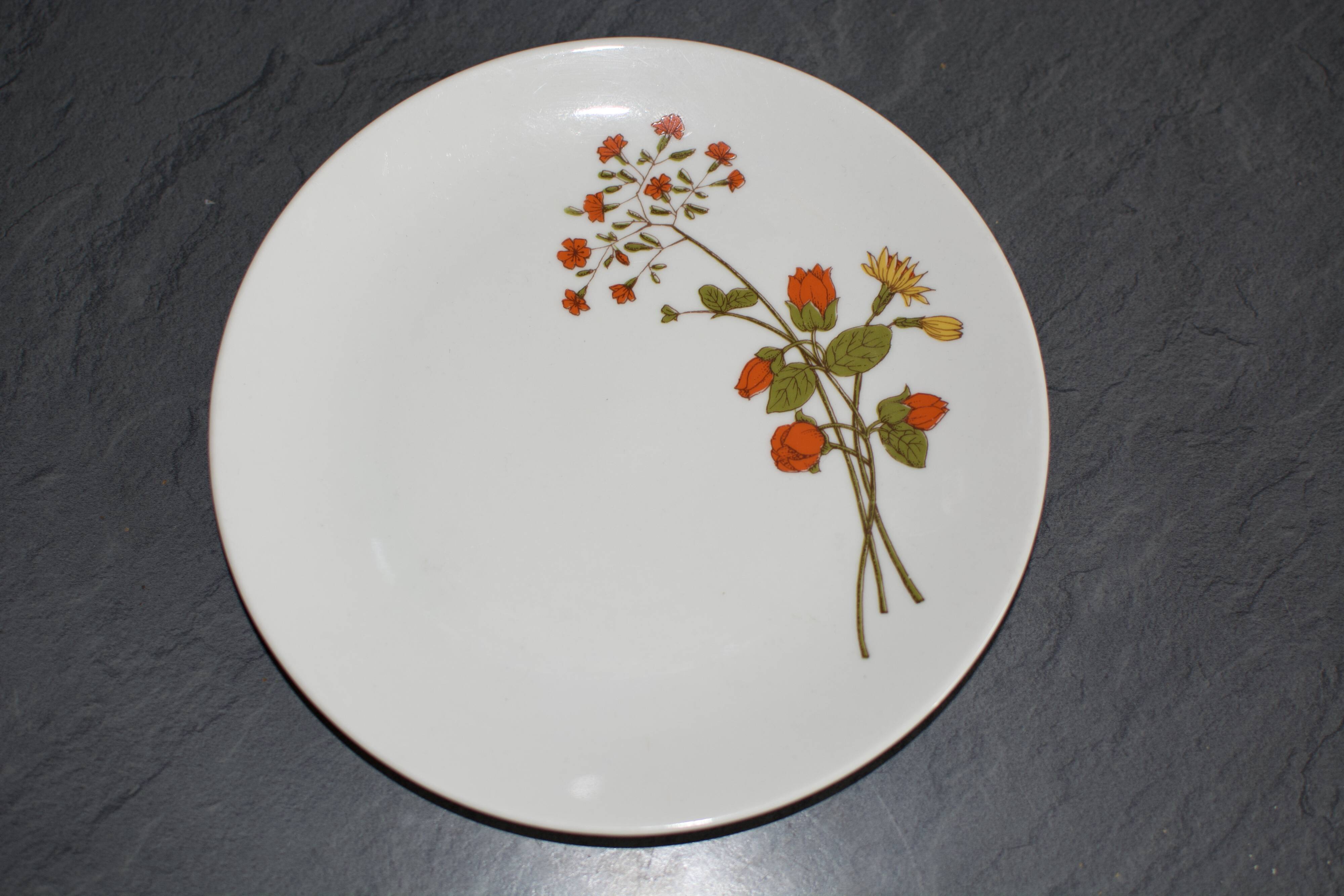 6 assiettes en porcelaine vintage a fleurs Bavaria