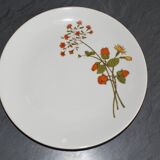 6 assiettes en porcelaine vintage a fleurs Bavaria