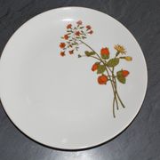 6 assiettes en porcelaine vintage a fleurs Bavaria