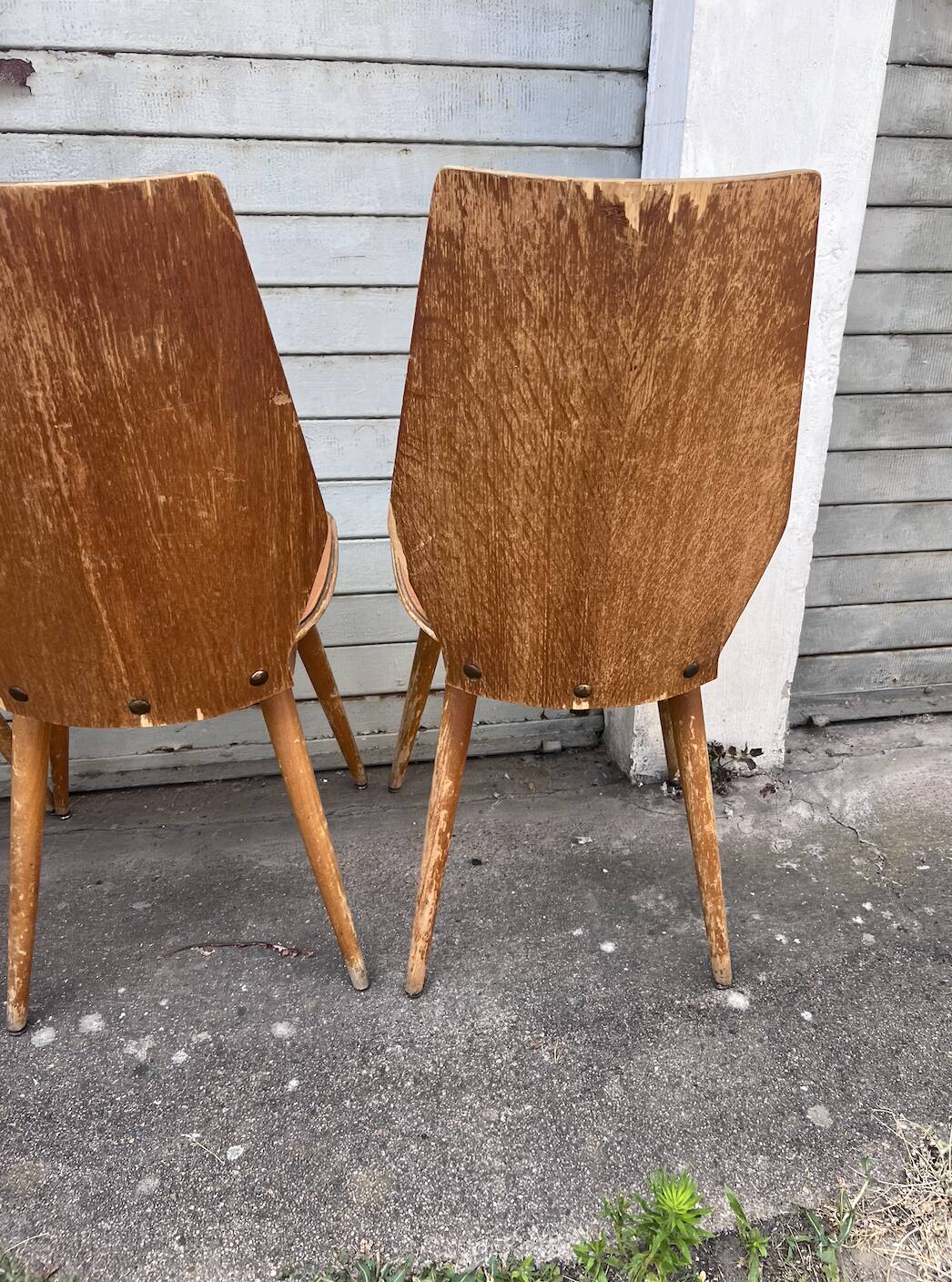 (Lot) 5 chaises vintage bois attribuées à Baumann (à restaurer)