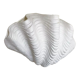 Ceramic shell wall lamp