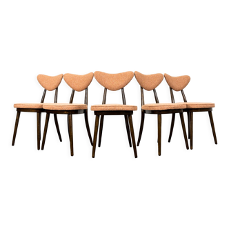 Set of 5 124 chairs by Helena & Jerzy Kurmanowicz 1950s Poland