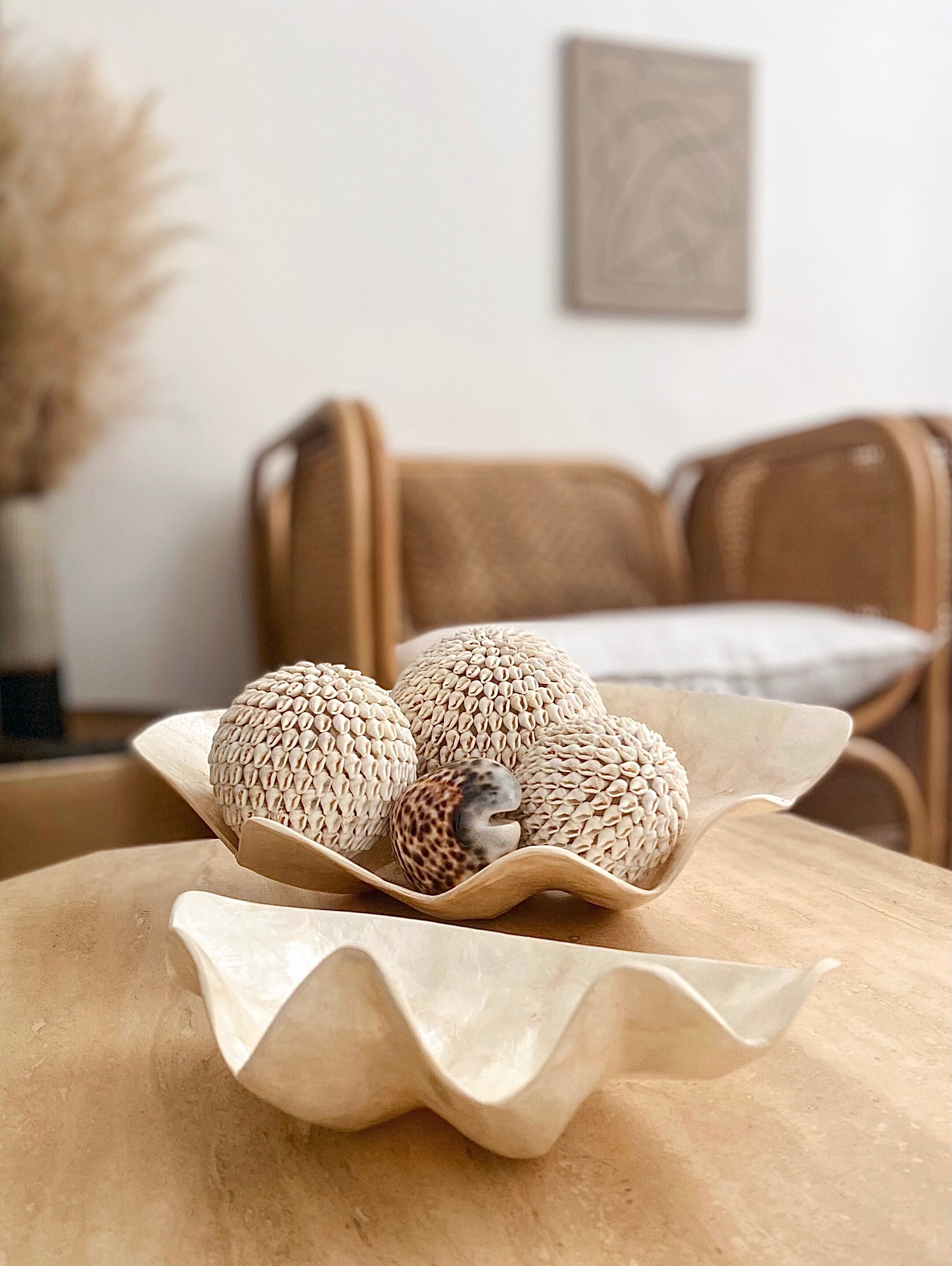 Pearly white shell benign cup