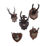 Set of 5 trophies horns