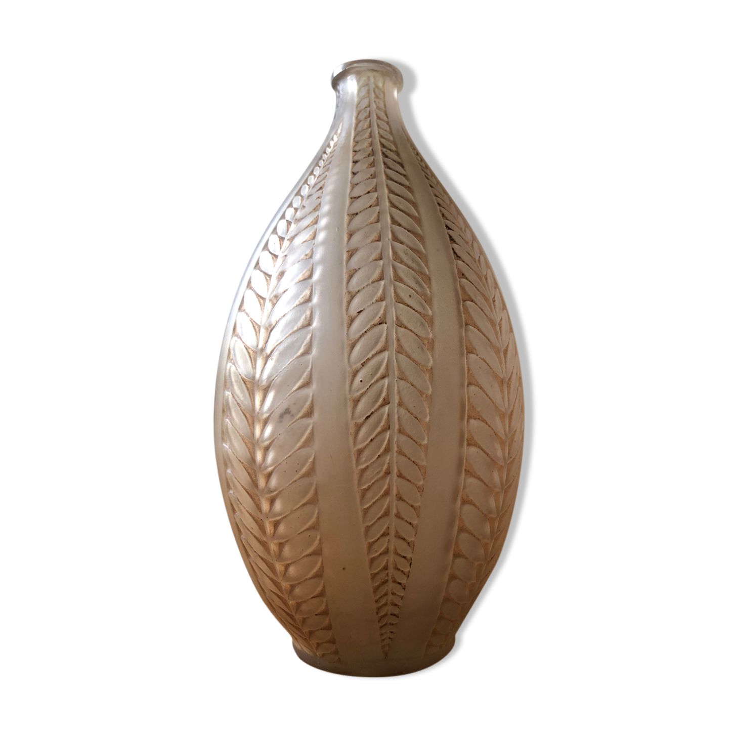 Vase René lalique acacia années 30 signé