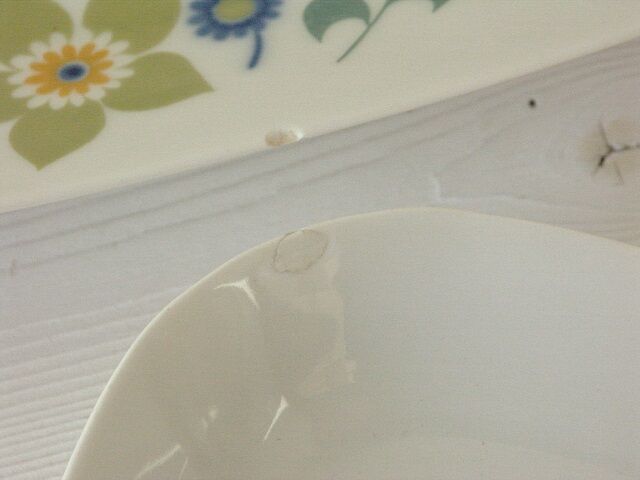 Masse porcelain dish and ravian - Surget France vintage 70/80