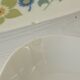 Masse porcelain dish and ravian - Surget France vintage 70/80