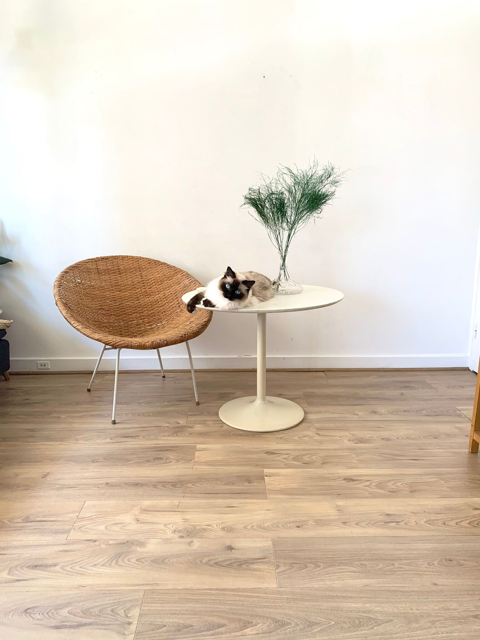Side table with tulip foot