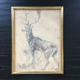 Drawing signed deer in charcoal