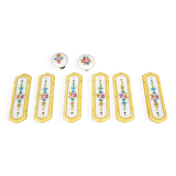 Set of 2 porcelain door handles and cleanliness plates