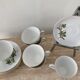 Vintage porcelain herbarium service 6 cups with plates