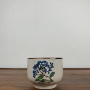 Set de 4 tasse à thé "herbier" , 1960/70, céramique