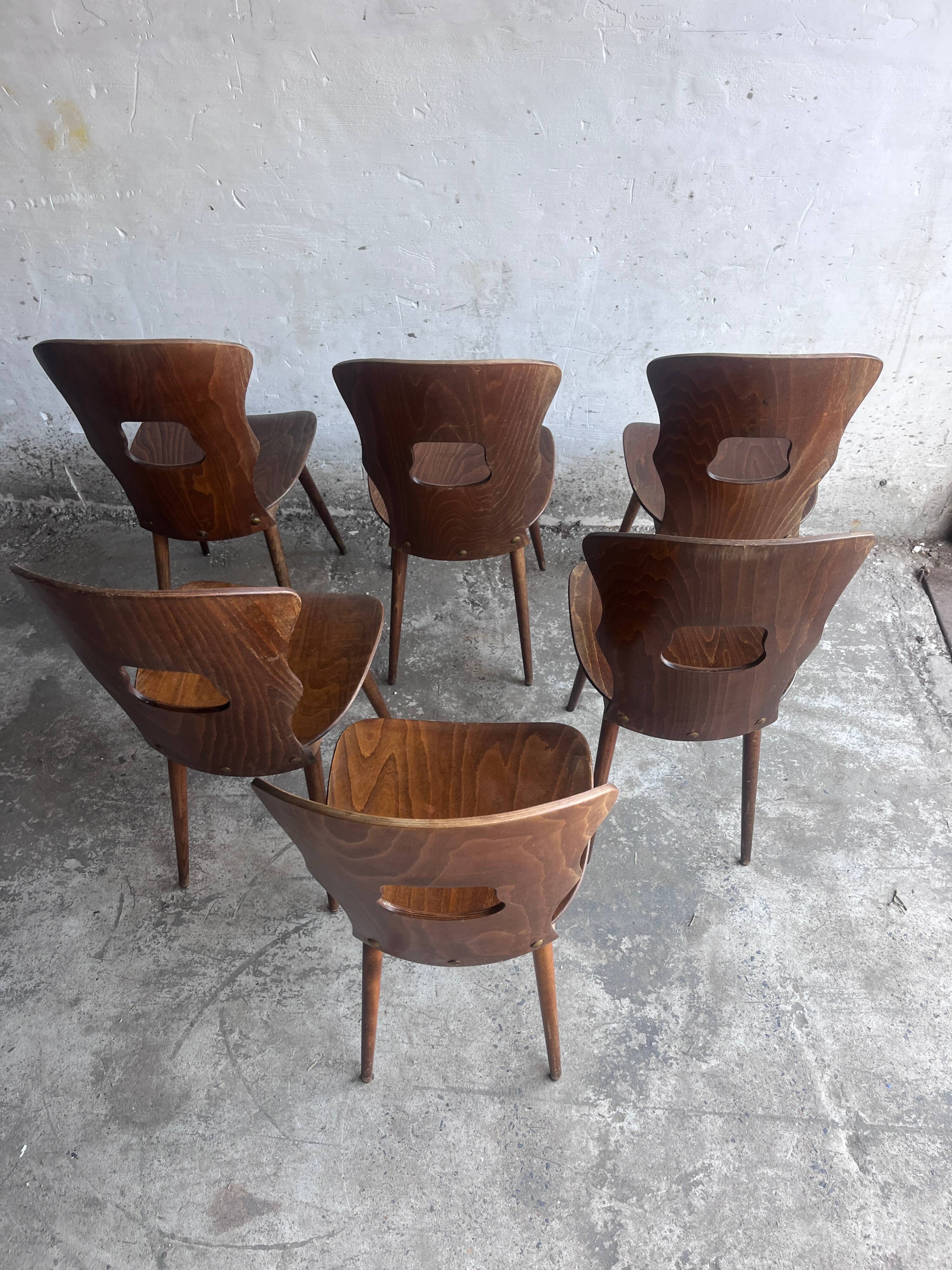 Set of six plywood dining chairs by Baumann, France, 1950s.